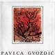 Pavica Gvozdić - Pavica Gvozdić